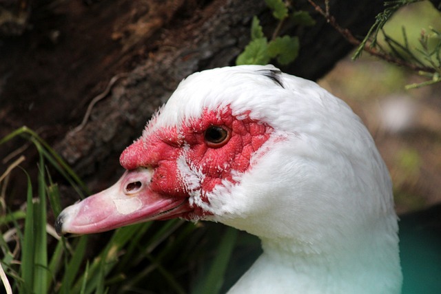 与上海的对 与上海的对